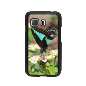 Blue-Brown Butterfly Casing HP