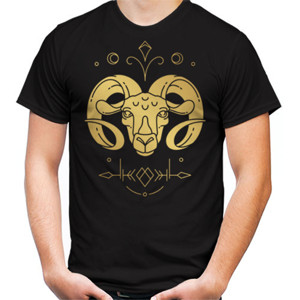 Kaos Aries Picture