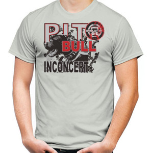 Kaos Pitbul In Concert