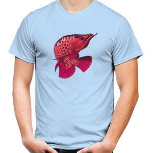 Kaos Kaos arowana limited