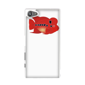 Ikan louhan Casing HP