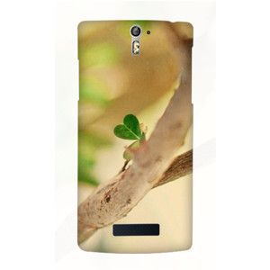 Natural Love Casing HP