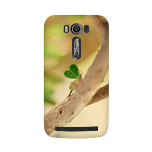 Natural Love Casing HP