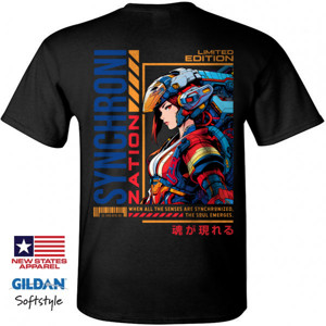 Kaos Reguler Synchronization