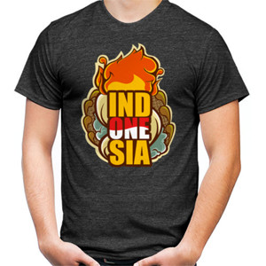 Kaos Indonesia Tshirt Two Tone Misty