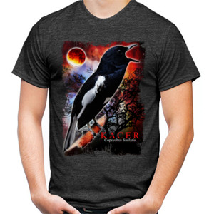 Kaos Burung Kacer