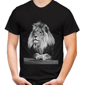 Kaos Singa/Lion