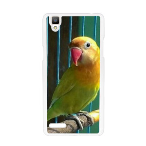 bang bgird Casing HP