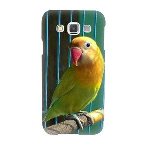 bang bgird Casing HP