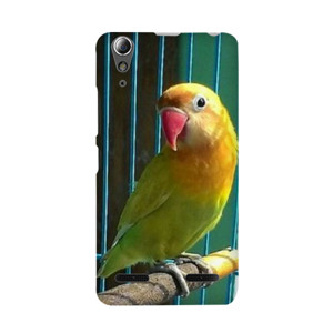 bang bgird Casing HP