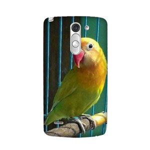 bang bgird Casing HP