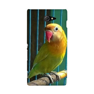 bang bgird Casing HP