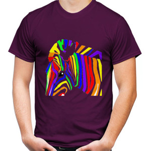 Kaos Kaos the colourful rainbow zebra