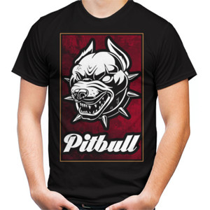 Kaos PITBULL