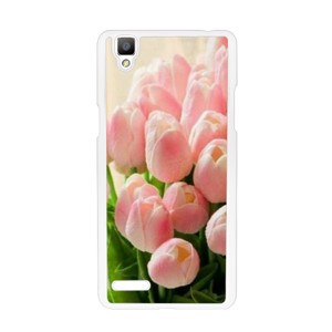 casing tulip Casing HP