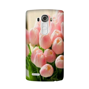 casing tulip Casing HP