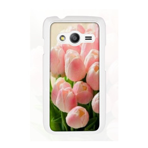 casing tulip Casing HP