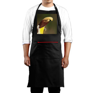 Celemek Lesser Bird of Paradise