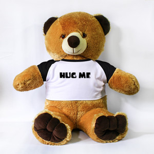 Boneka Beruang Hug Me Bear
