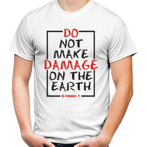 Kaos Dont Make Damage on teh earth