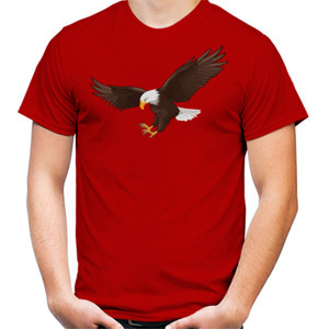 Kaos Eagle