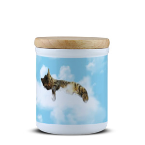 Toples Bumbu Kucing Tidur di Awan