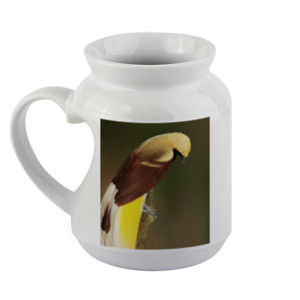 Mug Lesser Bird of Paradise