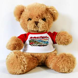 Boneka Beruang INDONESIA NEGRIKU1