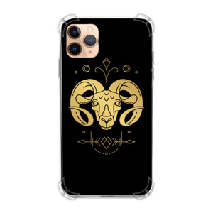 Casing HP Golden Aries Casing