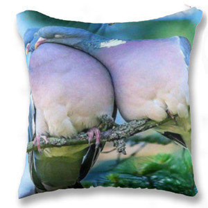 Bantal Sejoli Deruk