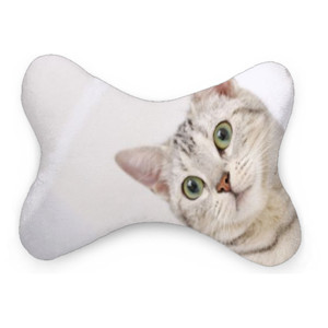 Bantal Mobil full print 