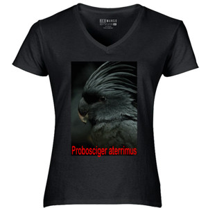 Kaos GIOKAOS---KAOS BURUNG 01