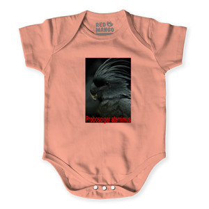 Baby Jumper GIOKAOS---KAOS BURUNG 01