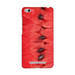 Fresh Watermelon  Casing HP