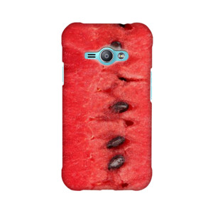 Fresh Watermelon  Casing HP