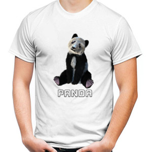 Kaos PANDA