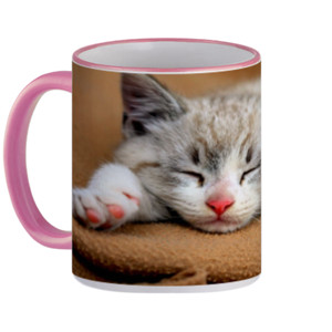Mug kucing