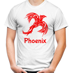 Kaos Modern Distro Online Phoenix