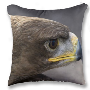 Bantal Sarung Bantal Sofa Elang